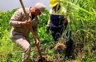 Ejecutan jornada de reforestación en Apure tras precipitaciones