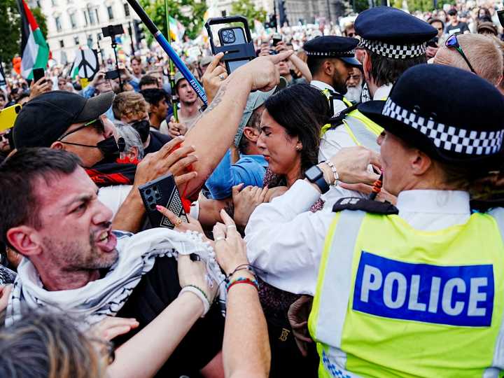 Police make mass arrests at Palestine Action rally outside UK Parliament