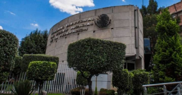 TEPJF revisará multa contra Yasmín Esquivel por apoyo indebido del SNTE