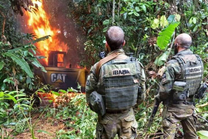 Brazil can green its environmental crime-fighting in the Amazon (commentary)