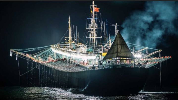 La sobrepesca china en costas argentinas amenaza la existencia del calamar y augura un colapso ecológico
