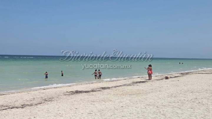 ¡Fin a la veda sanitaria en Yucatán! Informe sobre las playas libres de Marea Roja