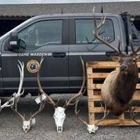 Musselshell County poaching case leads to 6 men from Roundup, Washington state sentenced