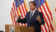 Red states lean into cost-cutting brand with DOGE copycats