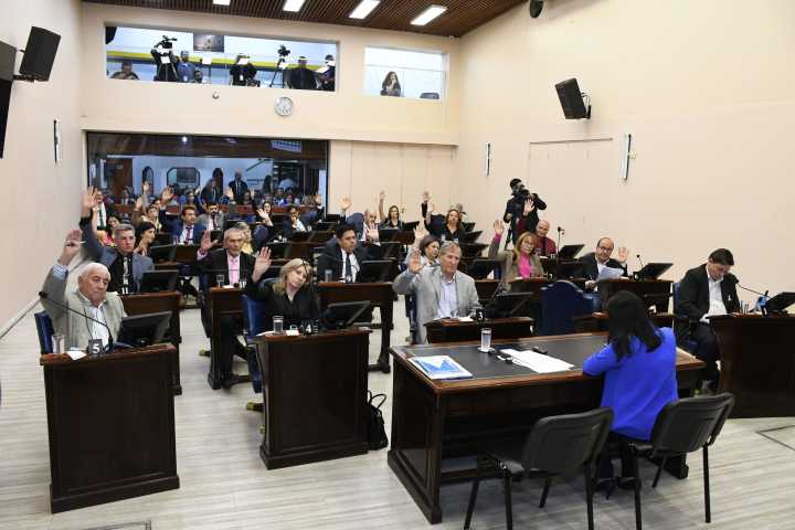 La Convención Constituyente de Formosa aprobó límites y responsabilidades en casos de intervención federal