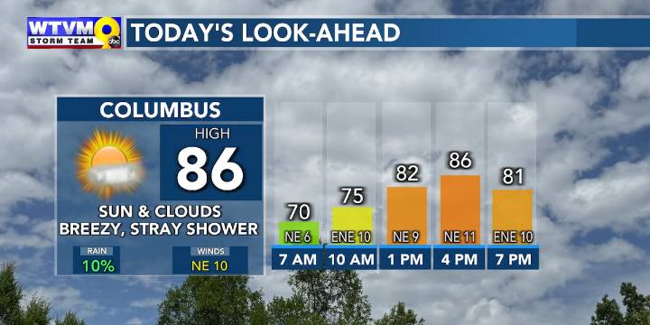 Breezy and mostly dry