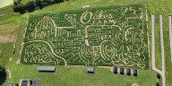 Oakes Farm reveals 25th anniversary corn maze design