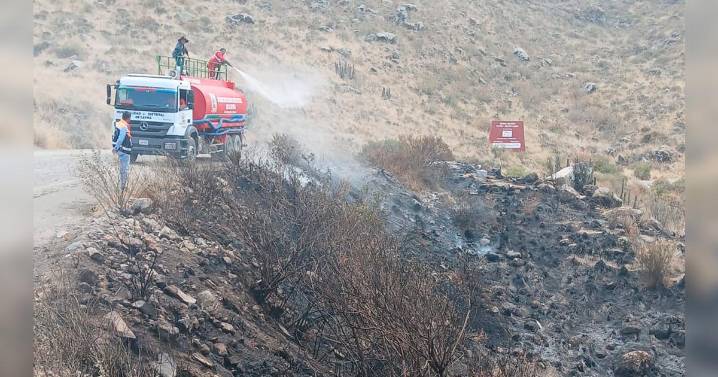Arequipa: más de 50 especies de flora y fauna afectadas por incendio forestal en faldas del volcán Misti