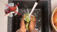 Sin bicarbonato ni lavandina: el truco para lavar el brócoli y eliminar todos los gusanos en 5 minutos