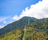 2025 NY fall foliage report: Where to see early autumn colors now
