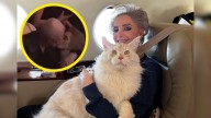 Así fue como Doña Cuquita, viuda de Vicente Fernández, fue sorprendida besando a un hombre