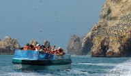 Conoce el único feriado nacional que trae octubre: ¿Por qué se celebra?