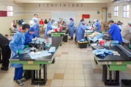 Del 28 de septiembre al 4 de octubre vacunación antirrábica canina y felina