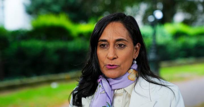Anand, Tories on Canada’s recognition of a Palestinian state