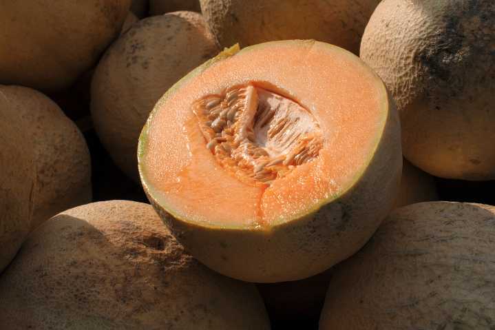 This cut cantaloupe recalled because it may make you sick