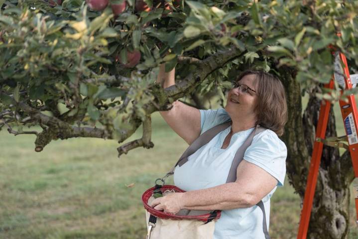 The joys of apples in autumn