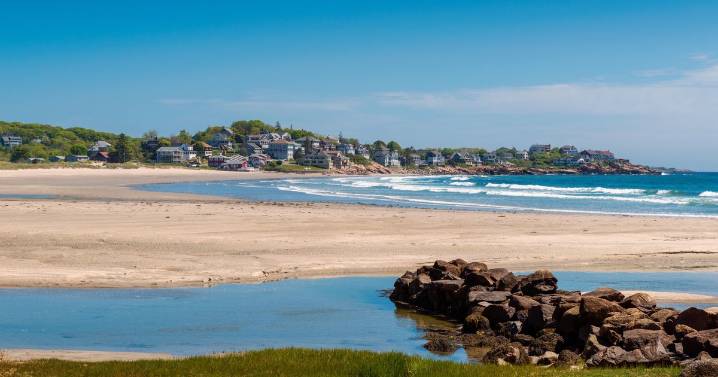 "Rotten egg" smell pervades Massachusetts city after hurricane blows in invasive seaweed
