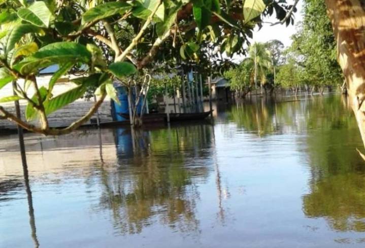 Roban en casas desalojadas por la crecida del Orinoco en Araguaimujo