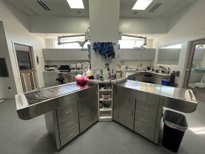 New veterinary center for senior pets opens in Ramona
