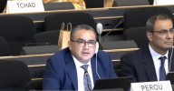 Perú seguirá evaluando permanencia en el Sistema Interamericano de Derechos Humanos, afirma Santiváñez en Suiza