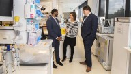 Stroke 'miracle cure' labelled as effective as placebo