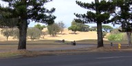 Maui County confirms it is open to purchasing Maui Land & Pineapple