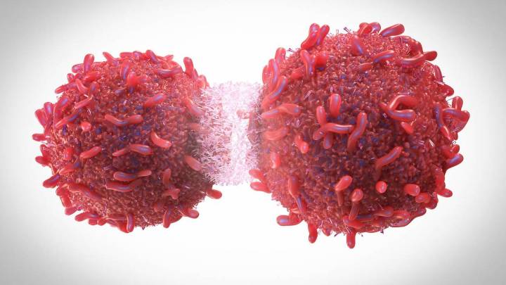 Un estudio de "Lancet" alerta: en 2050 las muertes por cáncer aumentarán casi un 75% respecto a 2024