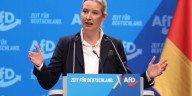 Bodies of right-leaning AFD politicians are piling up in Germany ahead of elections