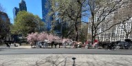 Runaway Central Park Carriage Horse Escapes Handler as Passengers Jump to Safety: See Video
