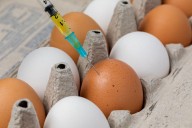 Should You Worry About Antibiotic Residues in Your Food?