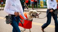 Kickoff time announced for next Colorado State football game