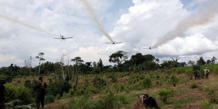 Defensoría pide cumplir sustitución de cultivos ilícitos y rechaza uso de glifosato en Colombia