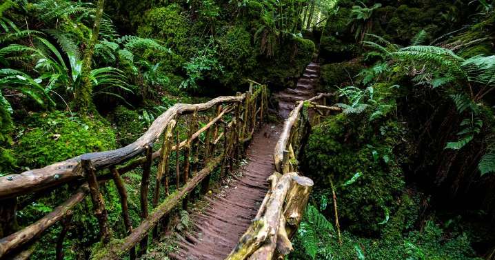 'Fairytale' forest seen in Star Wars is 'enchanting' and a 'must visit'
