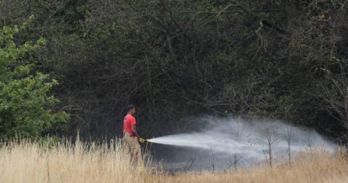 UK to bake in 25C heat as final mini heatwave looms but 27 counties set to miss out