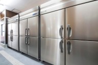 Summer Coolers, Hidden Dangers: Ice and Frozen Foods as Pathogen Vehicles