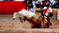 ¡Sorpresa!, Corte Constitucional deja en firme prohibición al coleo y otras expresiones culturales