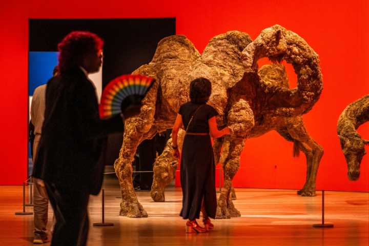 First look: 'Sixties Surreal' exhibit at The Whitney Museum of American Art, now on view