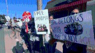‘She’s not a criminal, she’s a grandma’: Bay area community rallies for 73