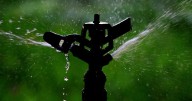 Spokane County farmer fined $100,000 for illegal water use