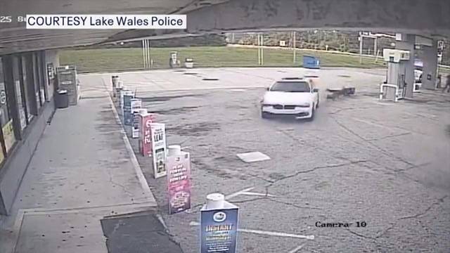 Police officer and K-9 walk away with minor injuries after being hit by driver fleeing Polk County traffic stop 