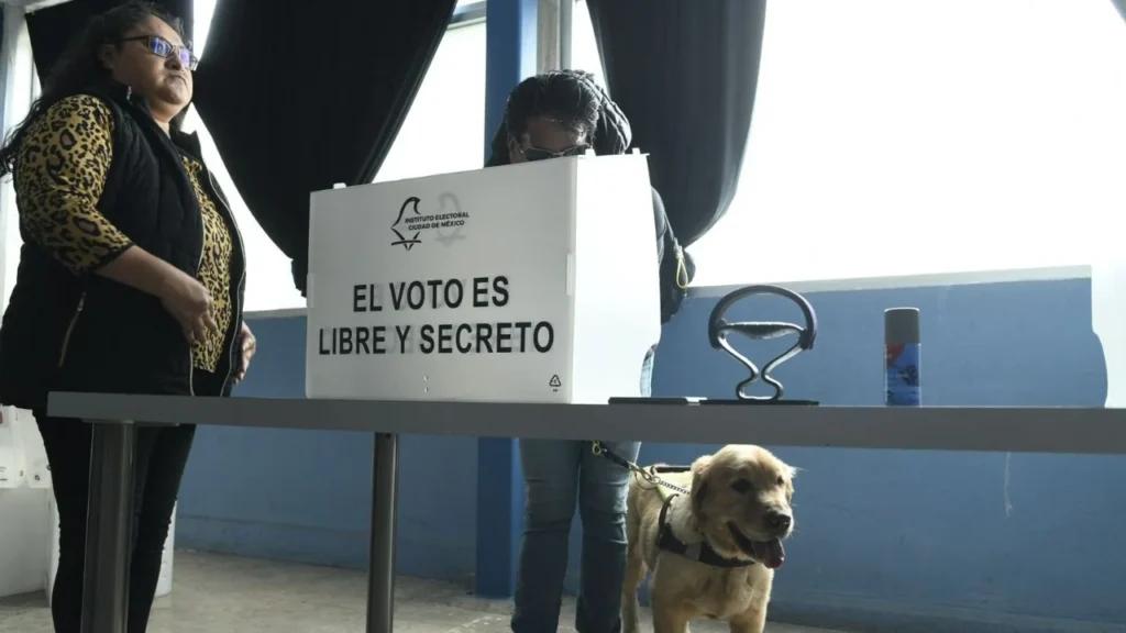 Proceso Electoral 2026-2027 en CDMX abierto para candidatos con discapacidad