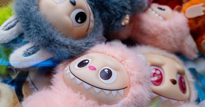 Over $500,000 worth of fake Labubu dolls intercepted at Seattle airport, CBP says