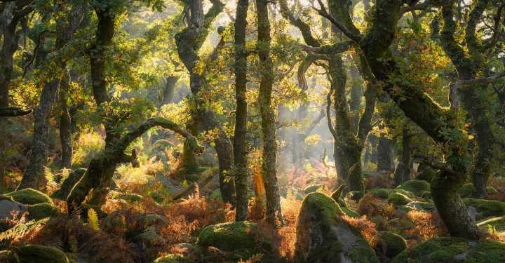 Winners of the 2025 Natural Landscape Photography Awards