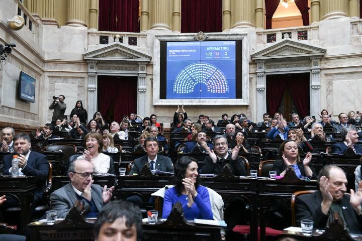 En una sesión con resultado incierto, la oposición intentará rechazar los vetos de Milei sobre el Garrahan y el financiamiento universitario