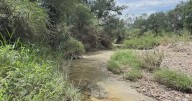 Texas ranch owners raffling off 76-acre ranch for less than the cost of a steak