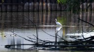 Agencies search for source of newly discovered Clinton River pollution