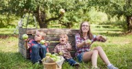 Apple season is underway in Rutland County