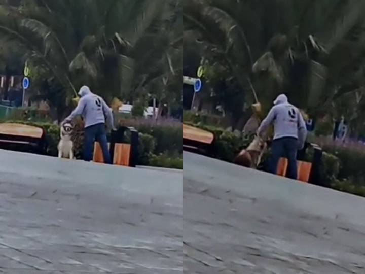 Evidencian en VIDEO maltrato a un perro en un jardín en Pachuca
