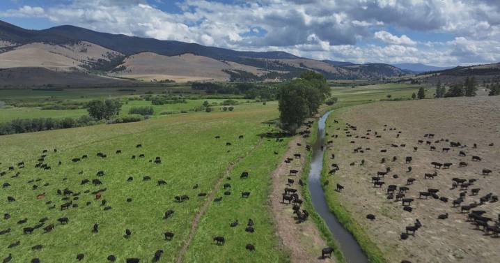 How ranchers in Montana's Blackfoot Valley are challenging the status quo amid existential threats