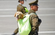 Todo listo para la Parada Militar 2025